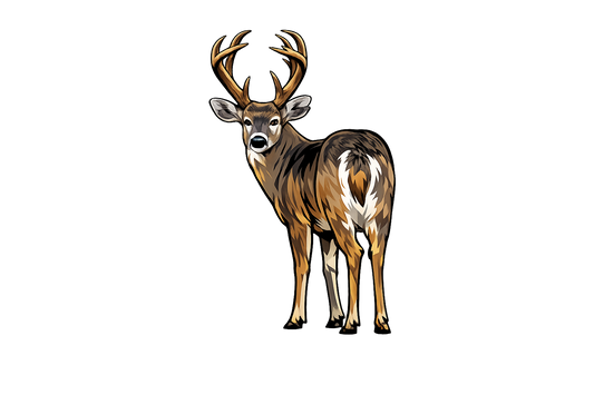 Field buck